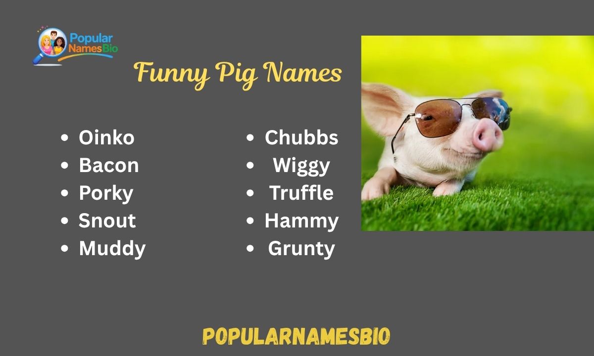 360+ Funny Pig Names Famous, Dirty, For Girl, Boy & After Celebrities