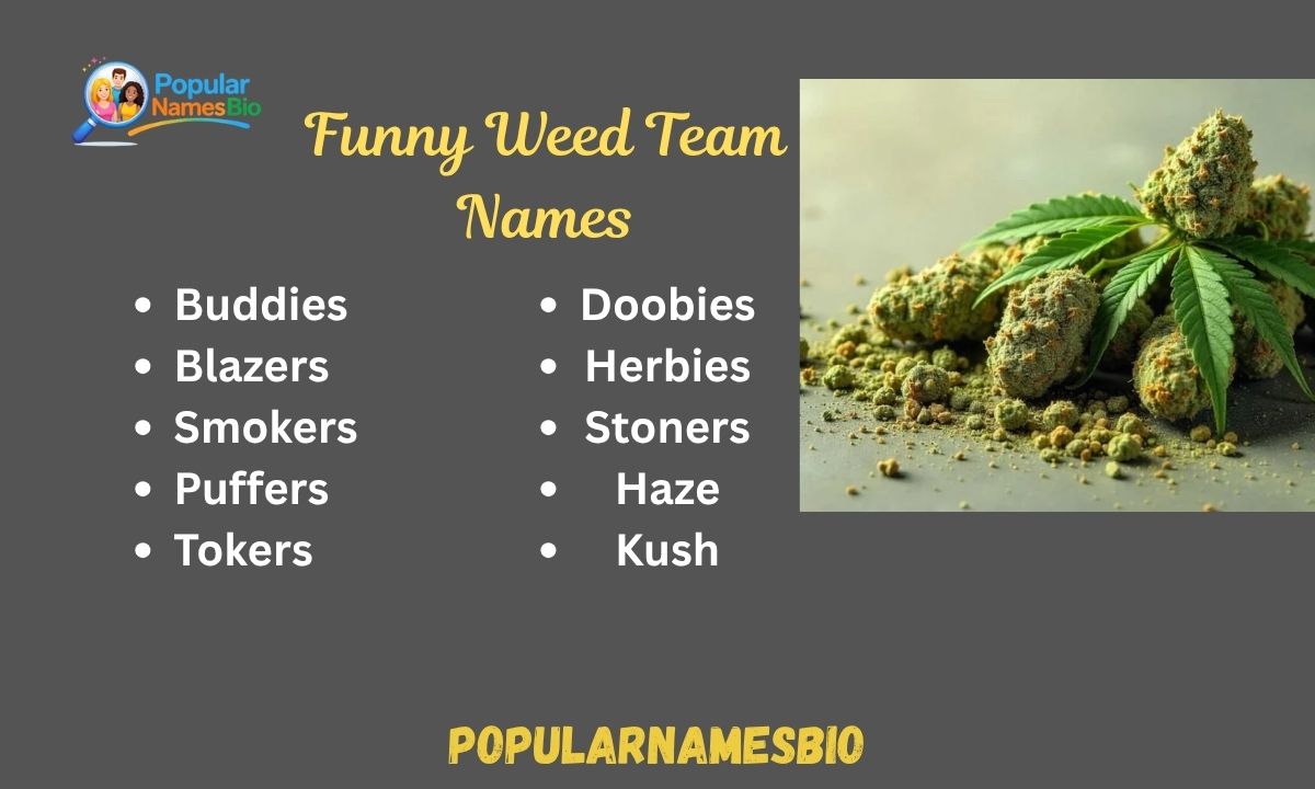 360+ Funny Weed Team Names For Groups & Party That You'll Love