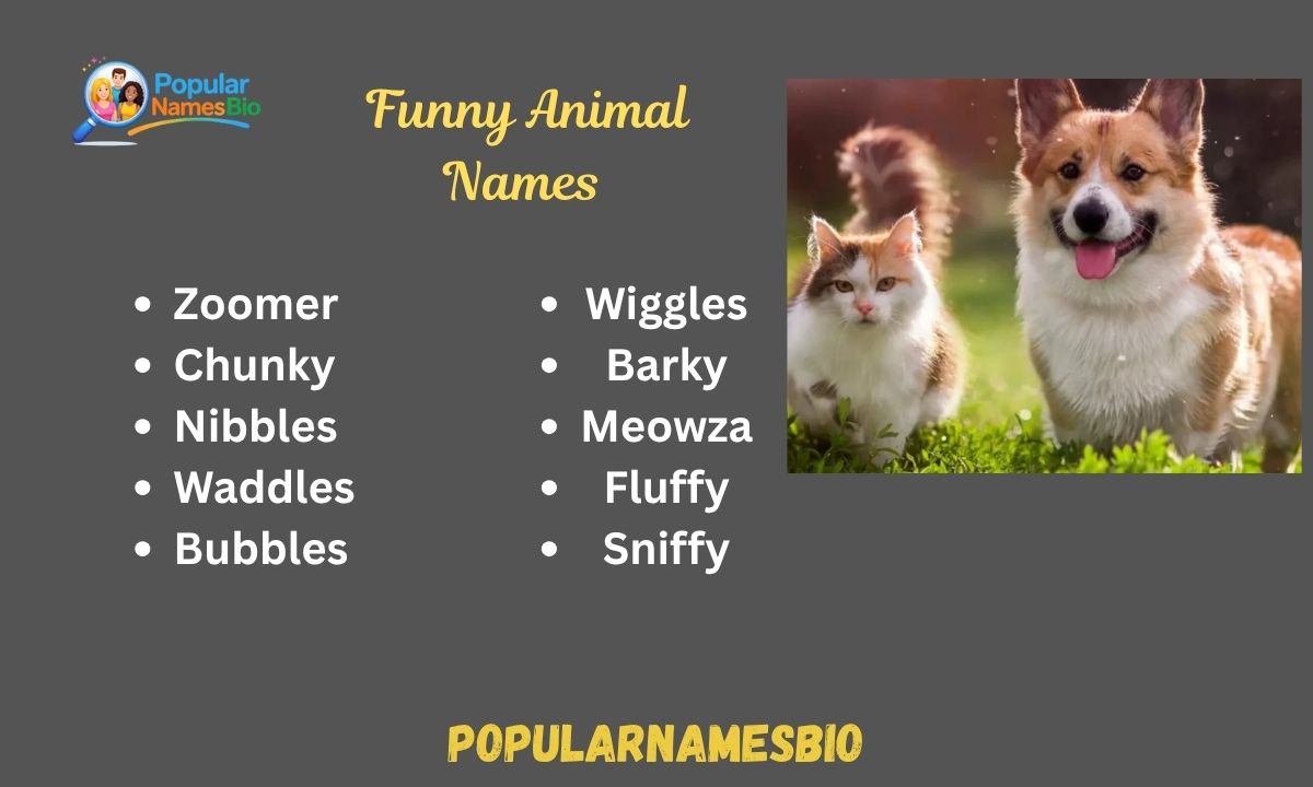 400+ Funny Animal Names For Pets, Friends & Dogs 2026 (1)