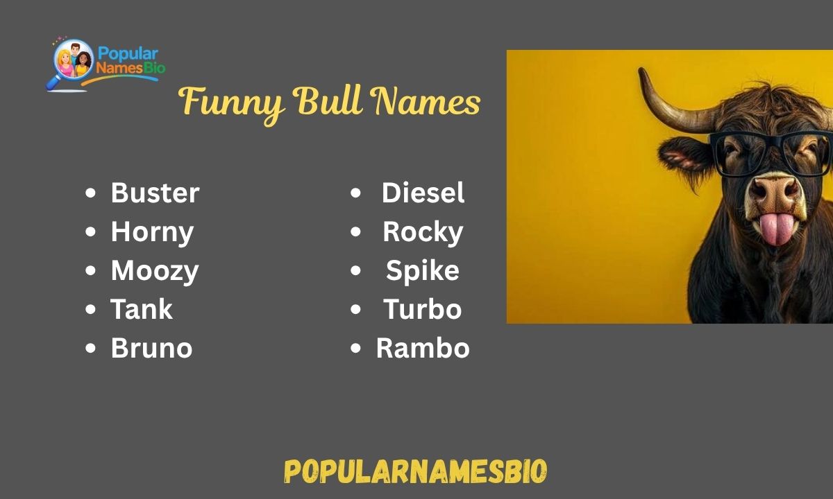 400+ Funny Bull Names Unique, Famous For Male & Female