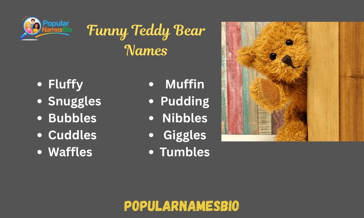 440+ Funny Teddy Bear Names Unique, Cute For Boys & Girls