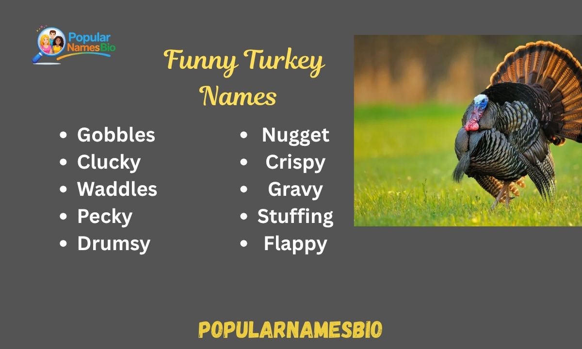 440+ Funny Turkey Names For Boys, Kids, Male & Female