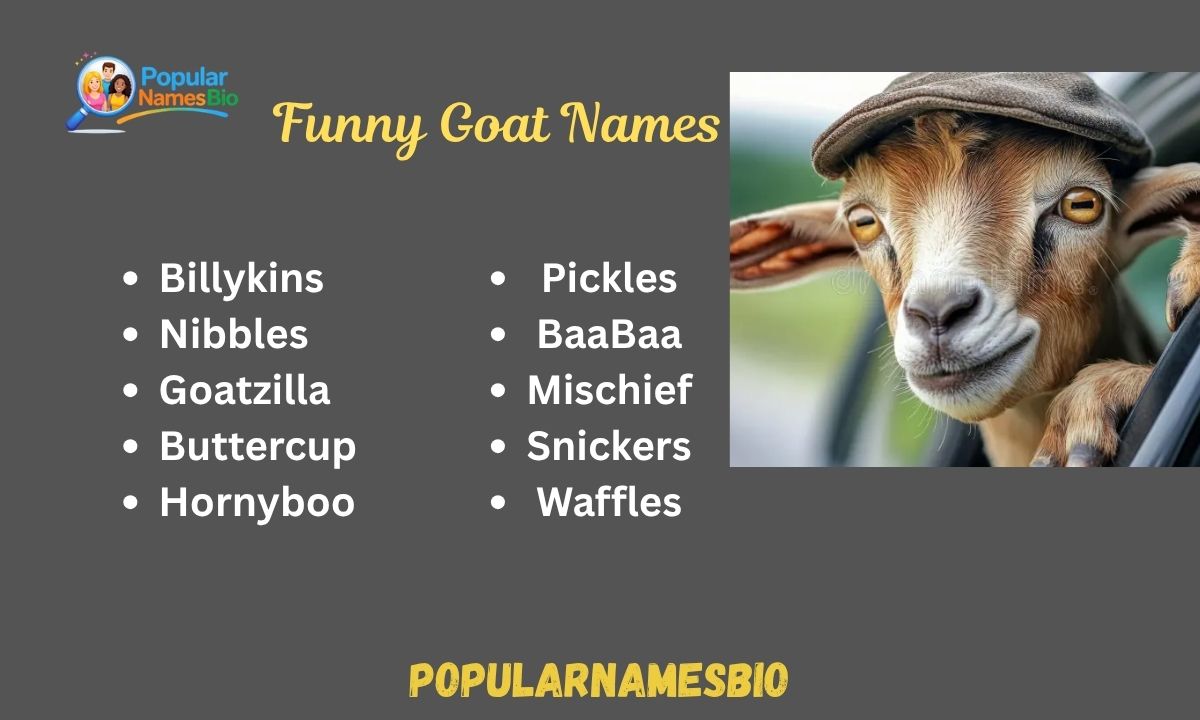 560+ Funny Goat Names Unique, Inappropriate For Male & Female