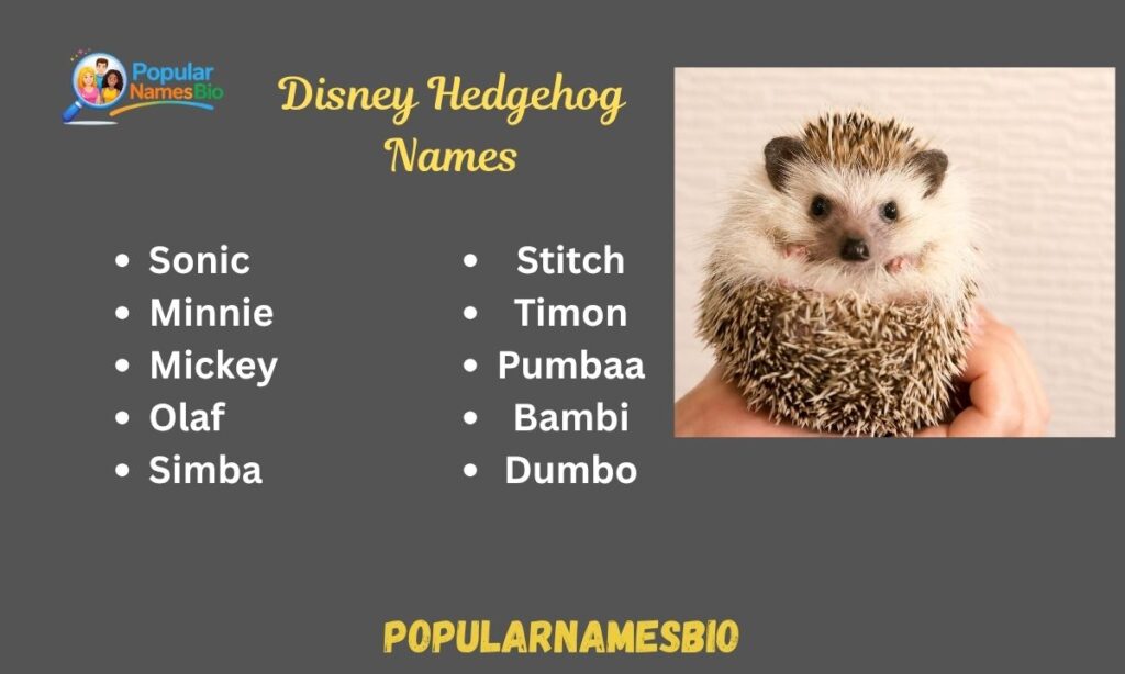 Disney Hedgehog Names
