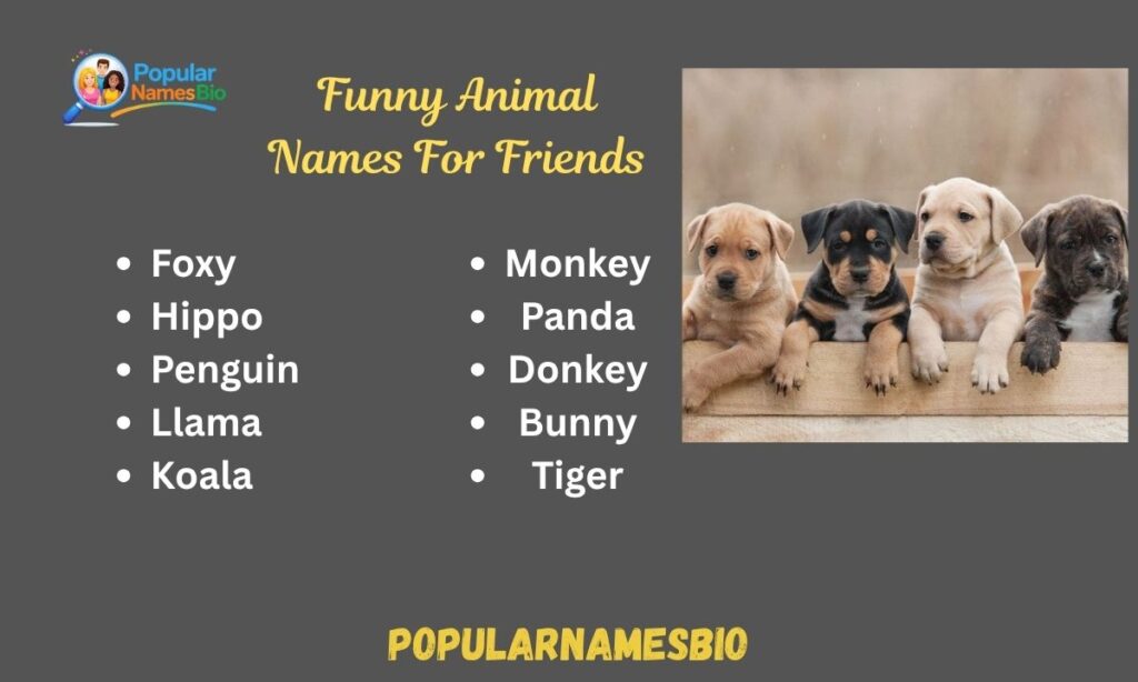 Funny Animal Names For Friends