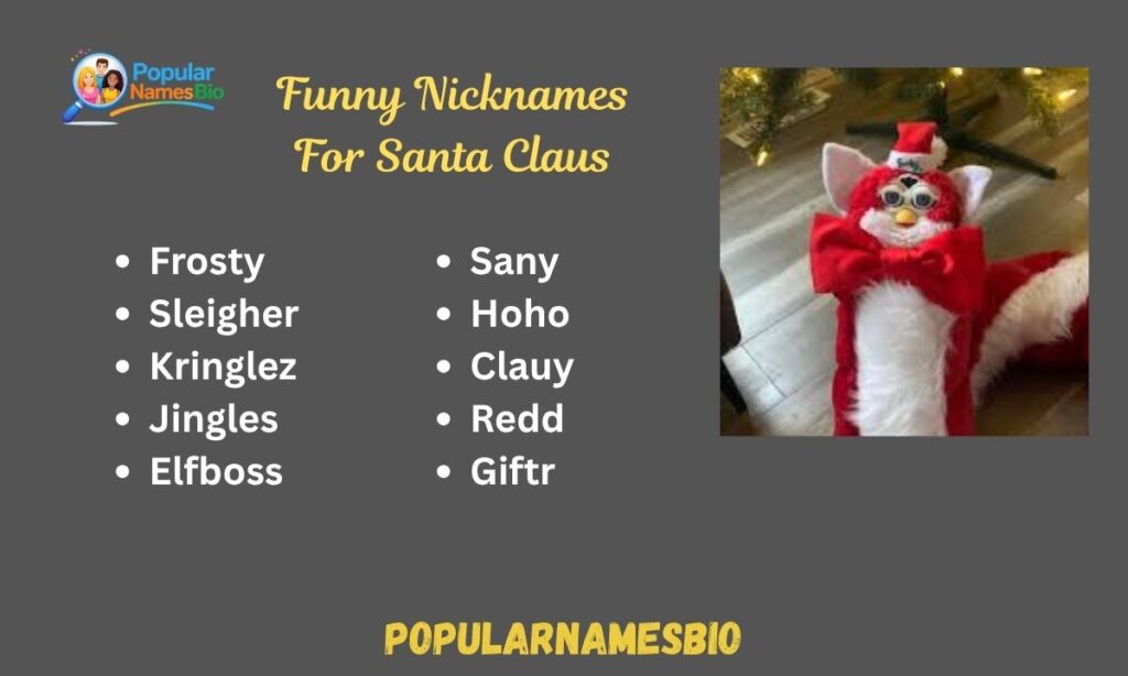 Funny Nicknames For Santa Claus