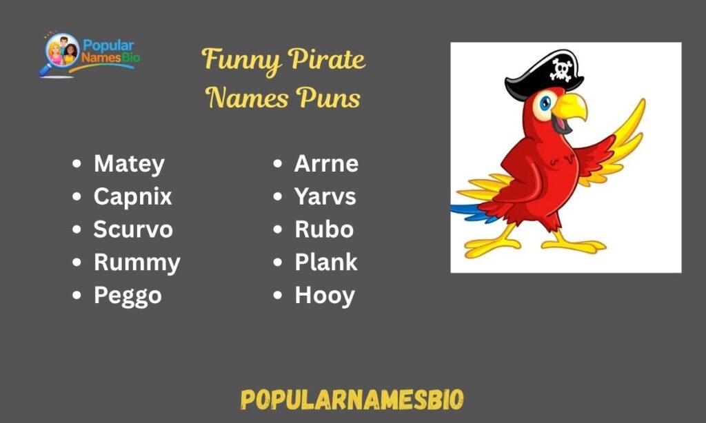 Funny Pirate Names Puns