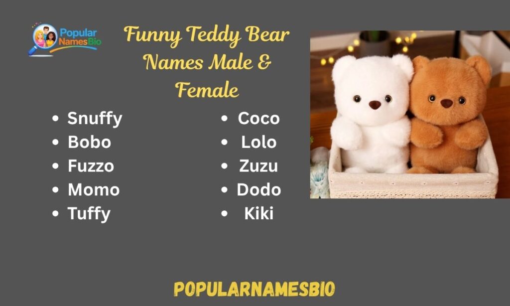 Funny Teddy Bear Names Male & Female