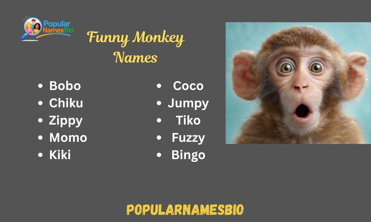 540+ Funny Monkey Names Cute, Unique, Famous For Male & Female
