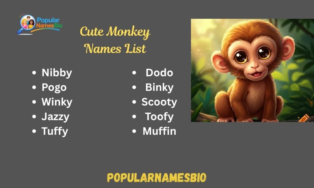 Cute Monkey Names List