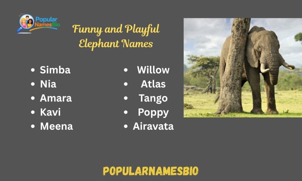 Funny and Playful Elephant Names